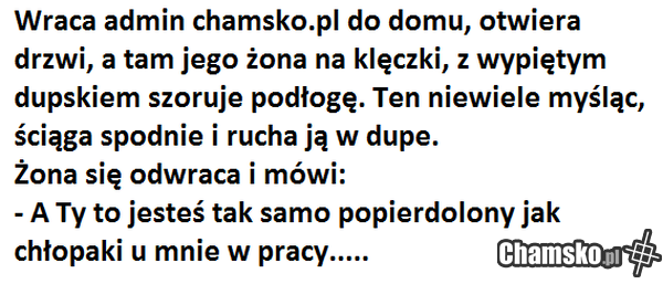 żona admina chamsko.pl