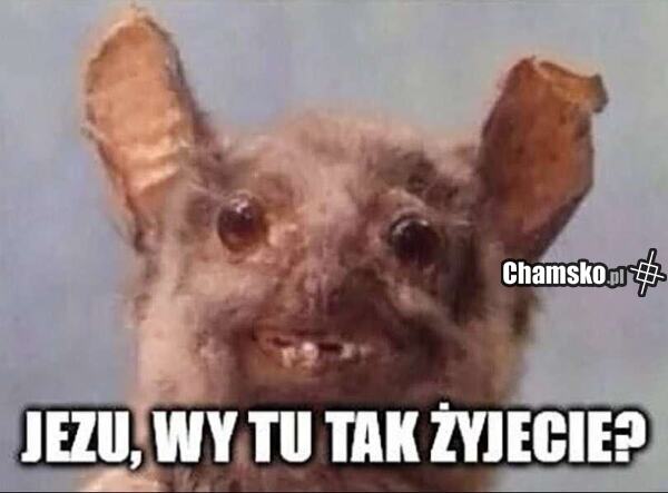 Ruska rakieta wlatująca do Polski
