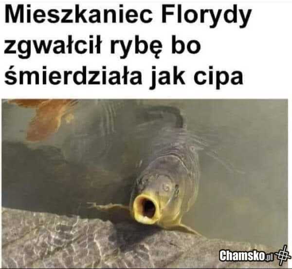 Gwałt