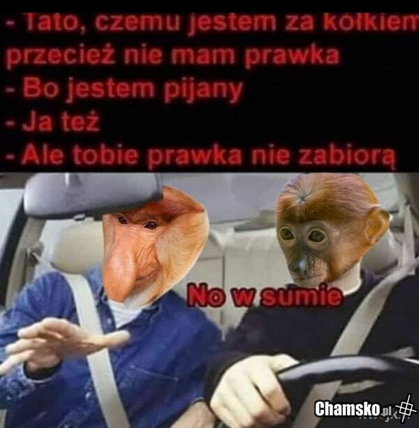 Prawko