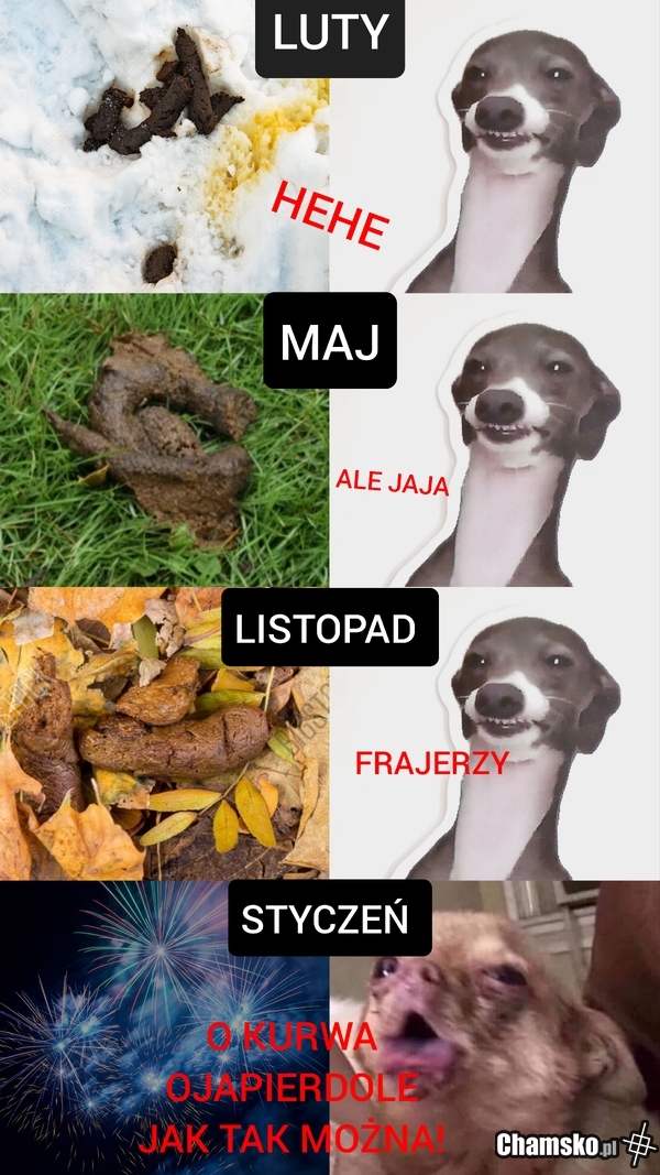 Obsrańce