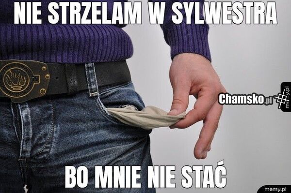 A nie, że jakieś tam pieski