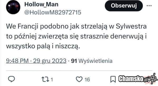 Wszystko przez fajerwerki