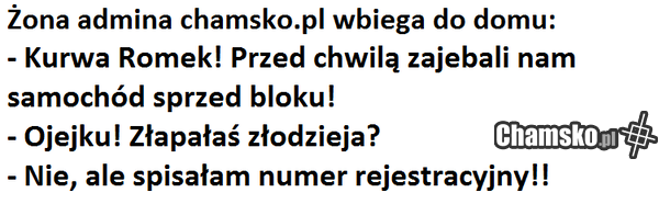 żona admina chamsko.pl