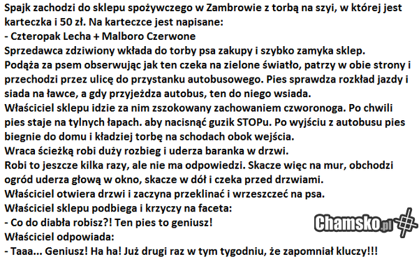 Przygody Spajka z Zambrowa