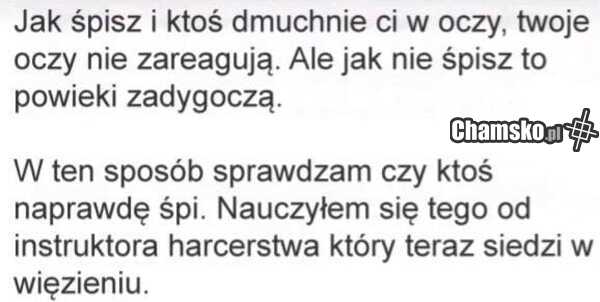 Ciekawostka