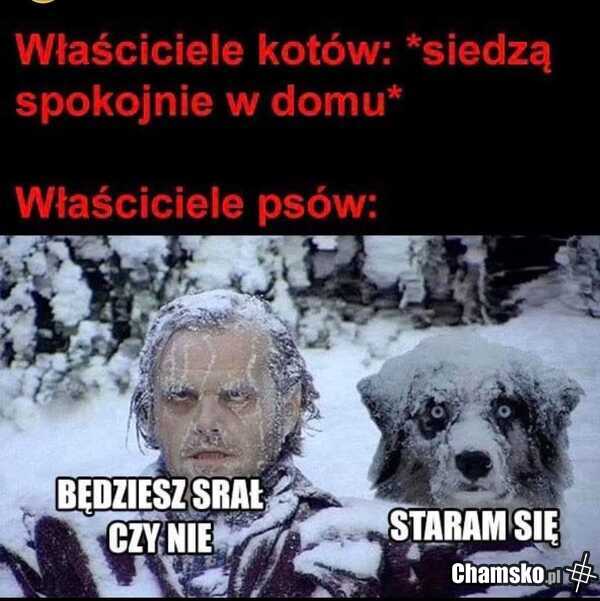 Psy