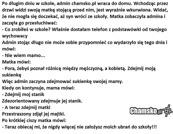 admin chamsko.pl
