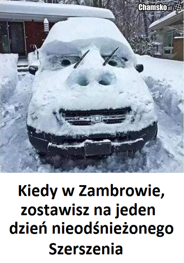 w Zambrowie