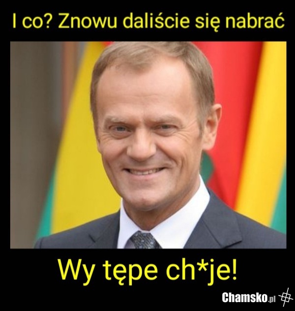 Wklęsła morda
