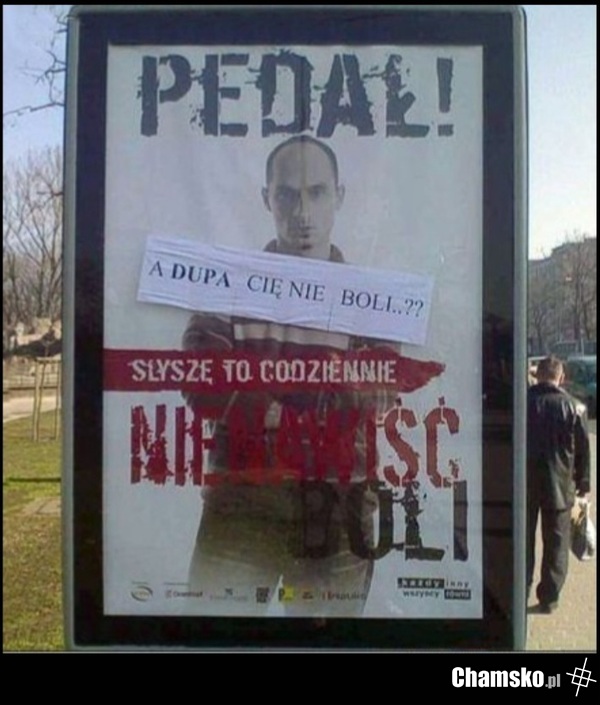 Analizator i jego bóle