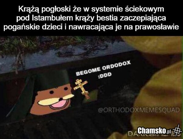BRAWOZŁAWIE :-DDDD