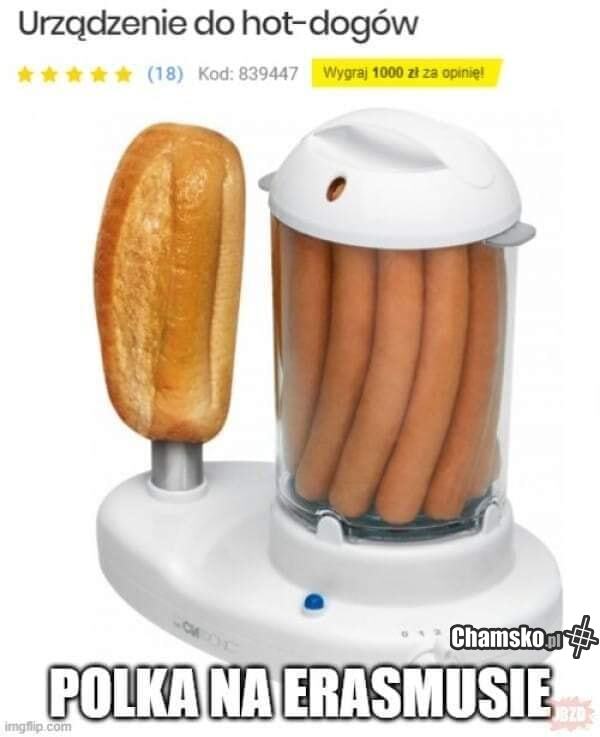 Hot-dogi