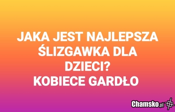 ŚLIZGAWKA