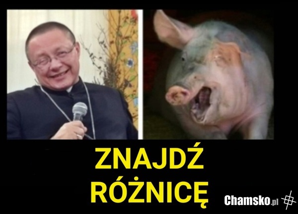 Świnki dwie. Ta po prawej chyba ma więcej przyzwoitości.