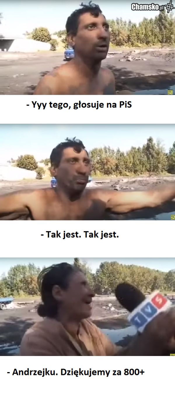 jebać PiS