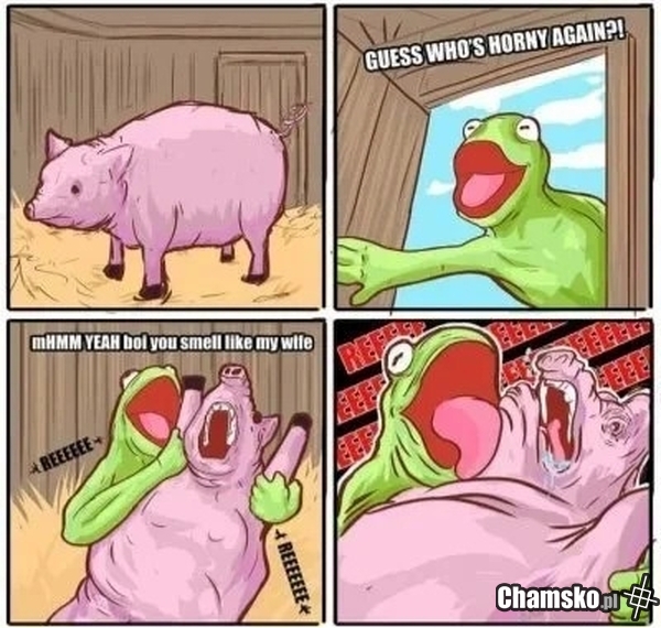 Kermit jakiego nie znacie.
