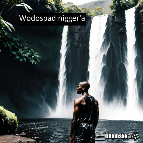 Wodospad nigger'a