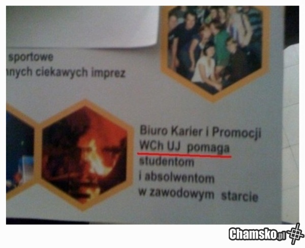 Pomoc dla studentów i absolwentów