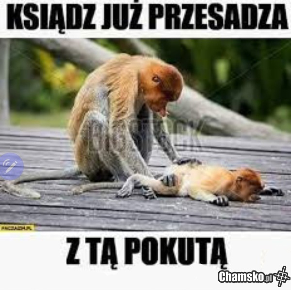 Ksiądz - najbardziej wnikliwy analityk problemów młodzieży.