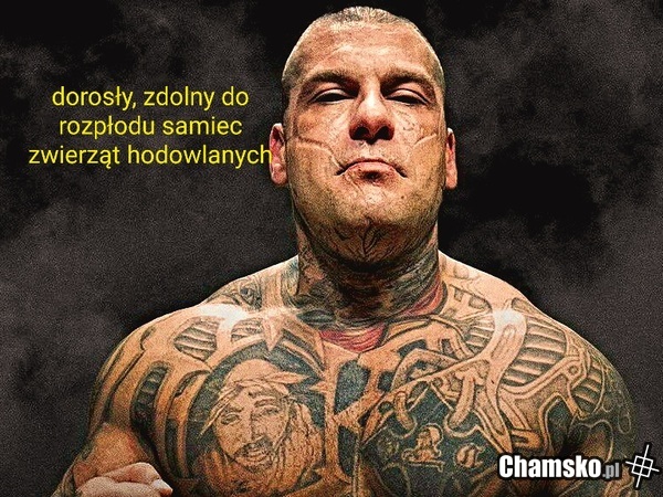 Pop(ek)isał sie