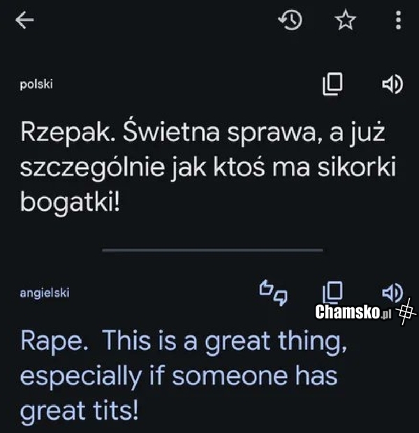 Tłumacz
