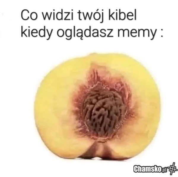 Co widzi kibel?