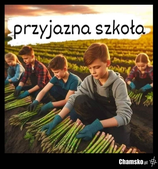 Szkoła dla polaków-biedaków. Dla dzieci ministrów tuska są szkoły prywatne.
