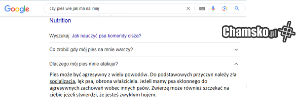 podpowiedzi google.pl