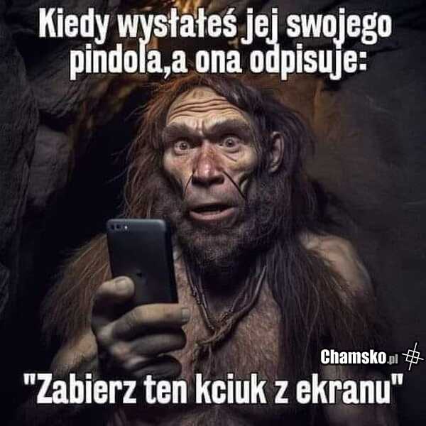 0_1_118865_Fota_pindola_przez_pluszowymis.jpg