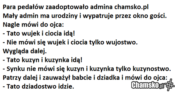 admin chamsko.pl