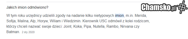 podpowiedzi google.pl