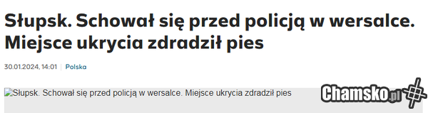 Sierżant Bagieta