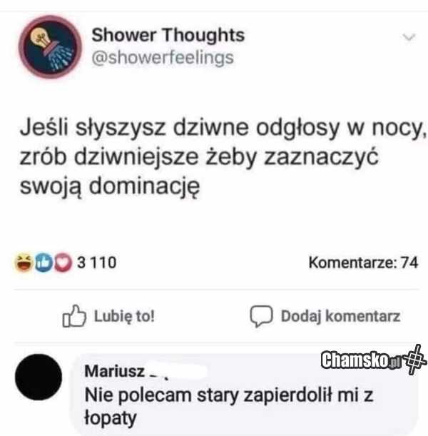 Dziwne odgłosy