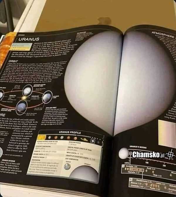 0_1_118908_Anus_przez_pluszowymis.jpg