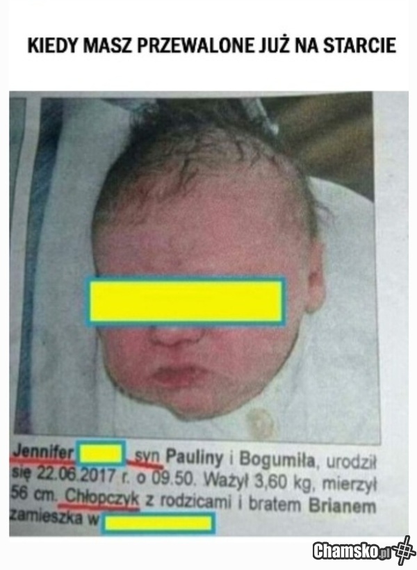 To Paulina i Bogumił zaszaleli