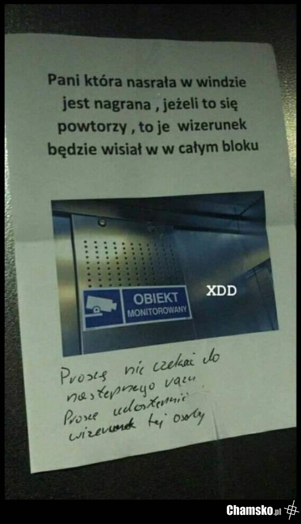 Panią przycisnęło w nieodpowiednim miejscu