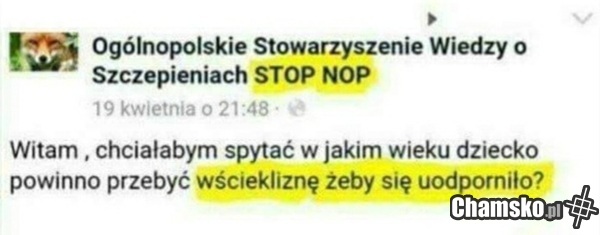 Wścieklizna