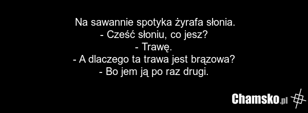 Na sawannie spotyka żyrafa słonia. - Cześć słoniu, co jesz? - Trawę. - A dlaczego ta trawa jest brązowa? - Bo jem ją po raz drugi.