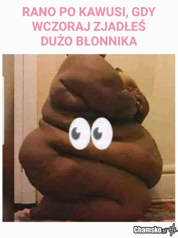 Kupcia