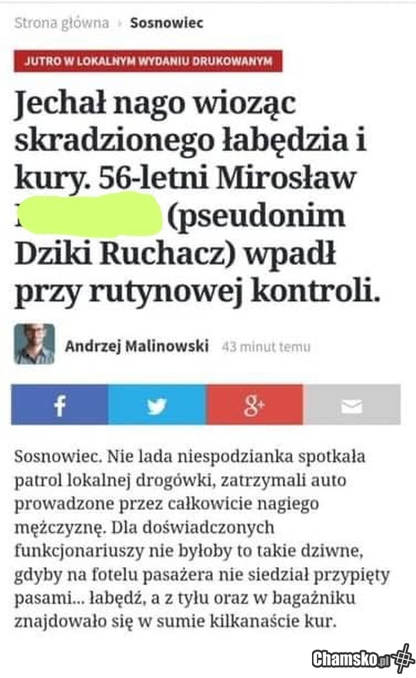 Mirosław, miłośnik ptactwa