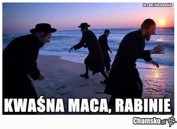 Sroga maca, Salomonie!