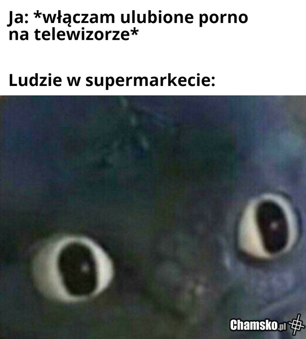 Ulubione filmy
