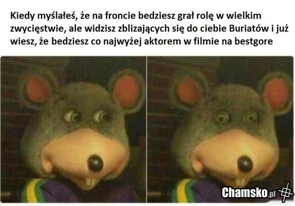 Elo