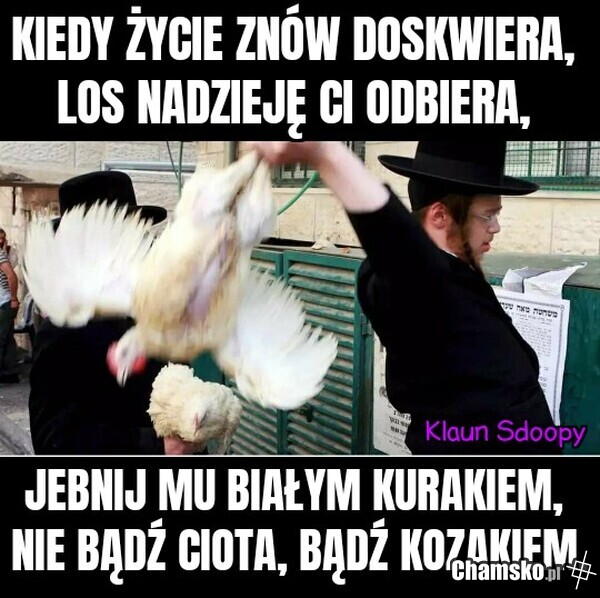 Sentencja na dziś.