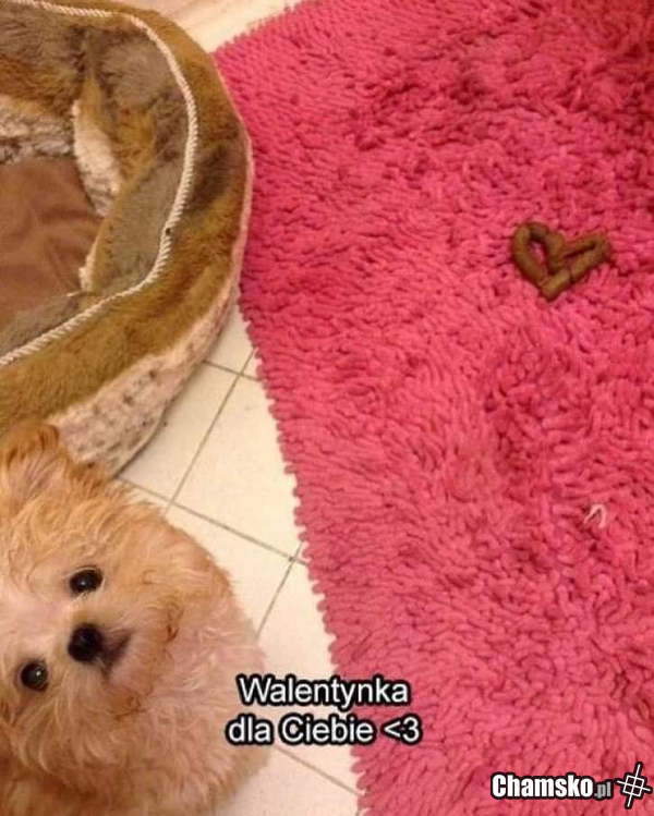 Walentynka