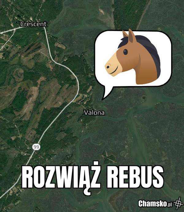 Rozwiąż rebus