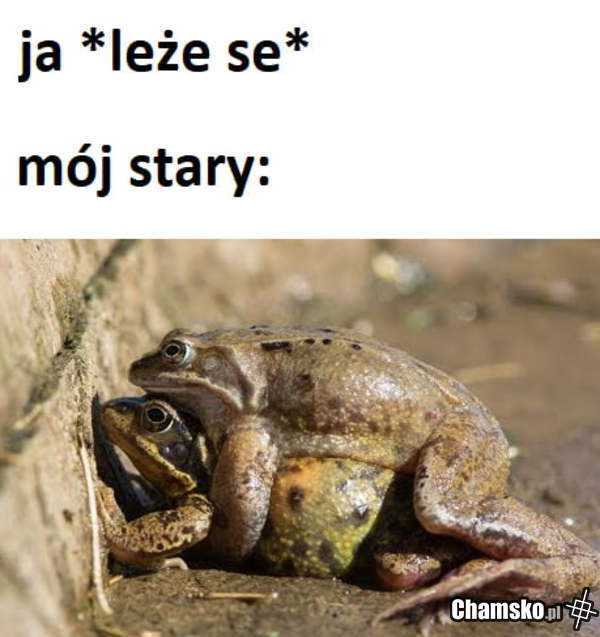 Leże se