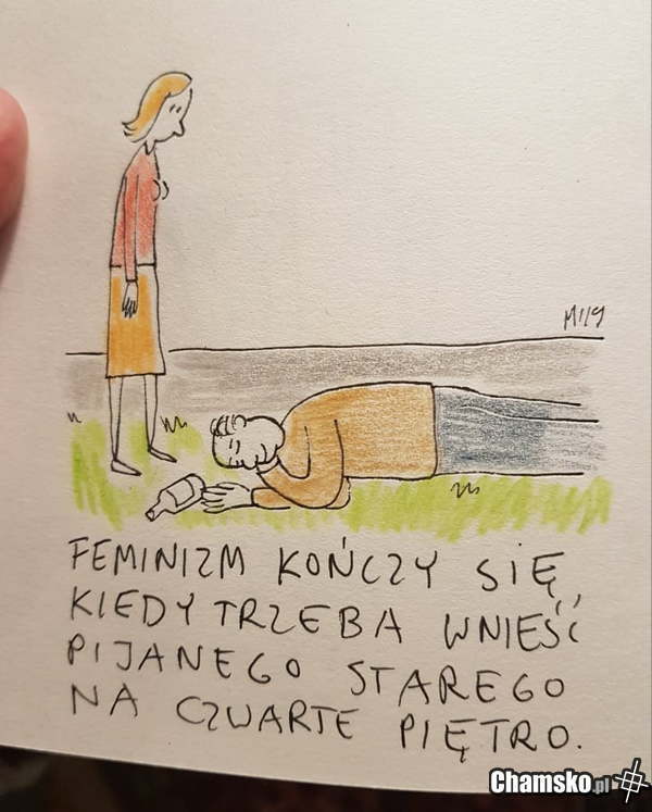 Feminizm