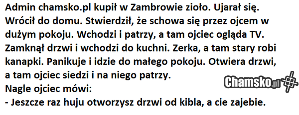 zambrowskie ścierwo